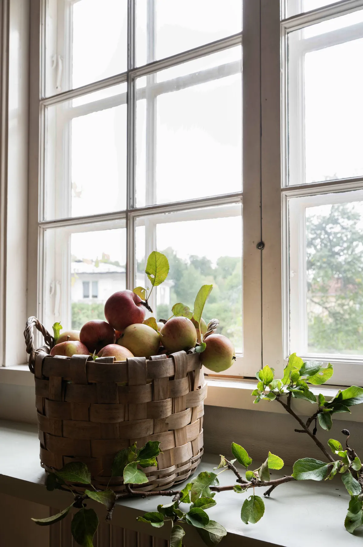 Hyresbostad på Uttran i uttran