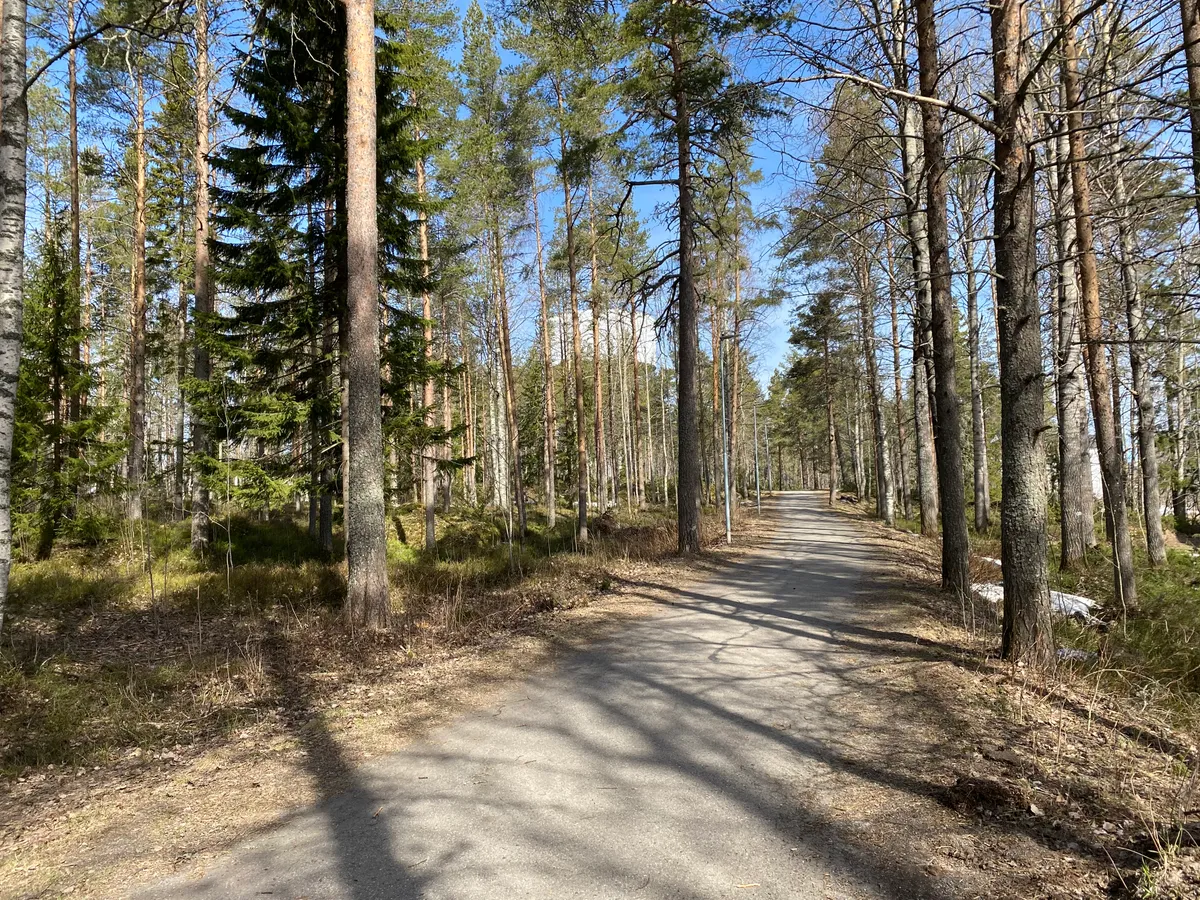 Hyreslägenhet på Umeå i umea