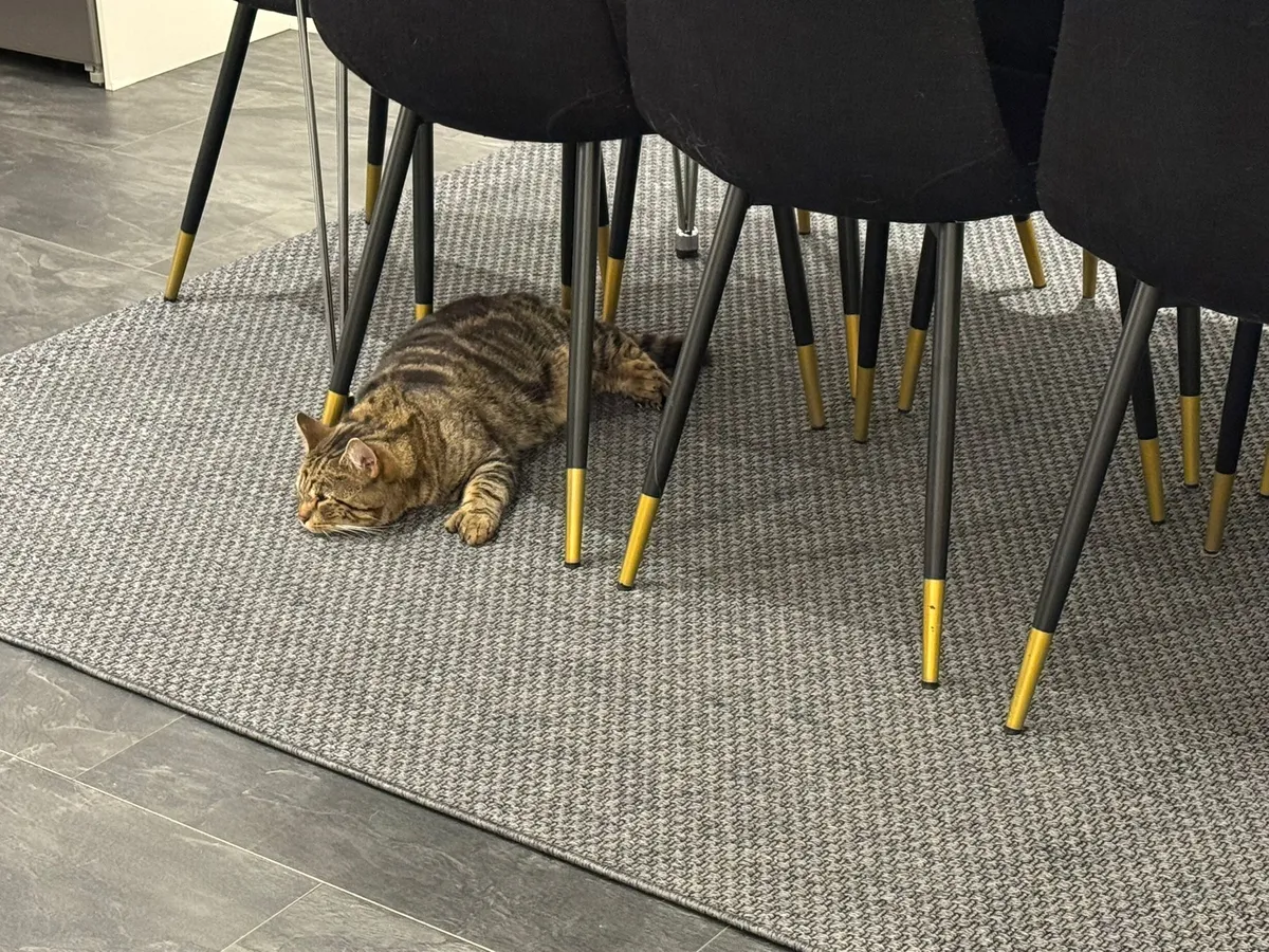 Hyresbostad på Malmö i malmo