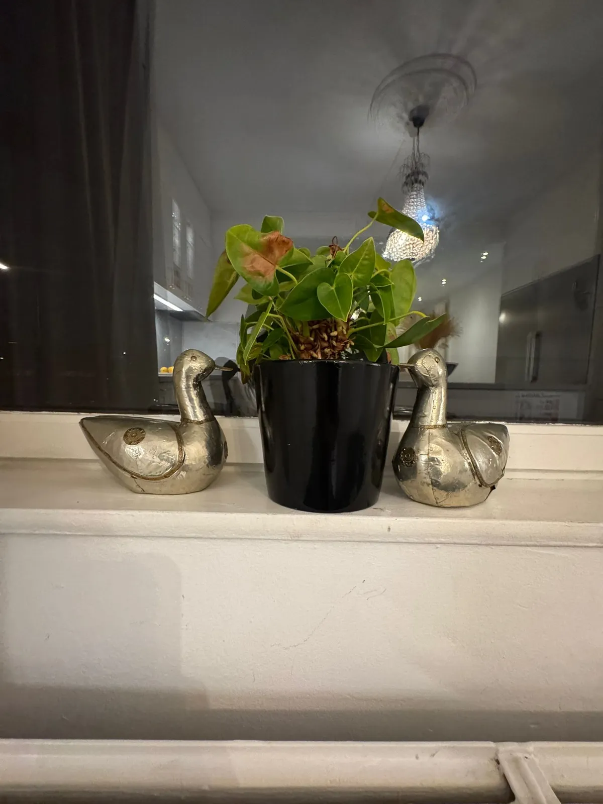 Hyresbostad på Malmö i malmo