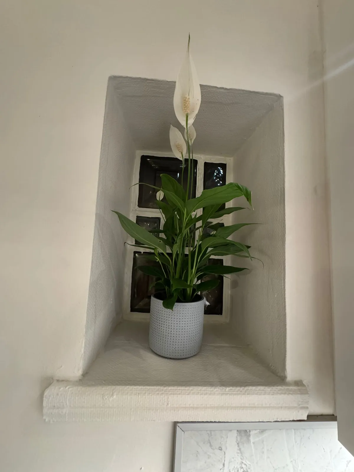 Hyresbostad på Malmö i malmo