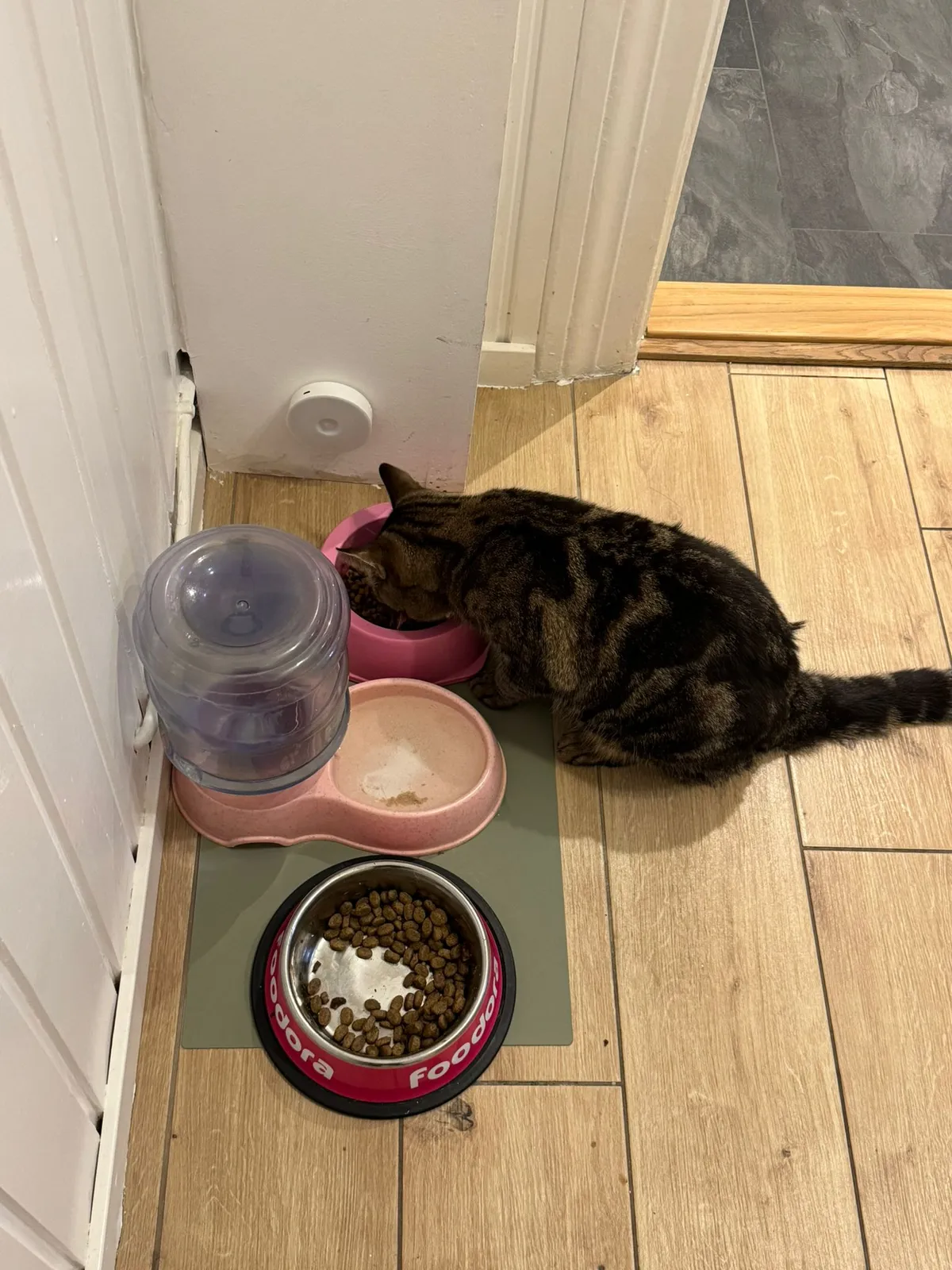 Hyresbostad på Malmö i malmo