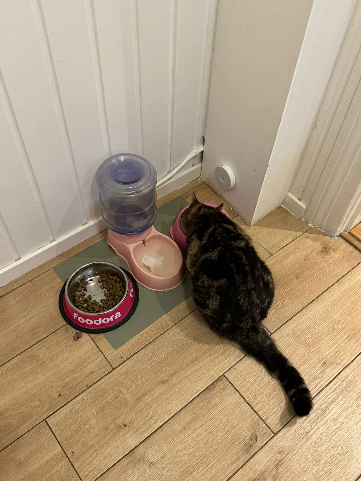 Hyresbostad på Malmö i malmo