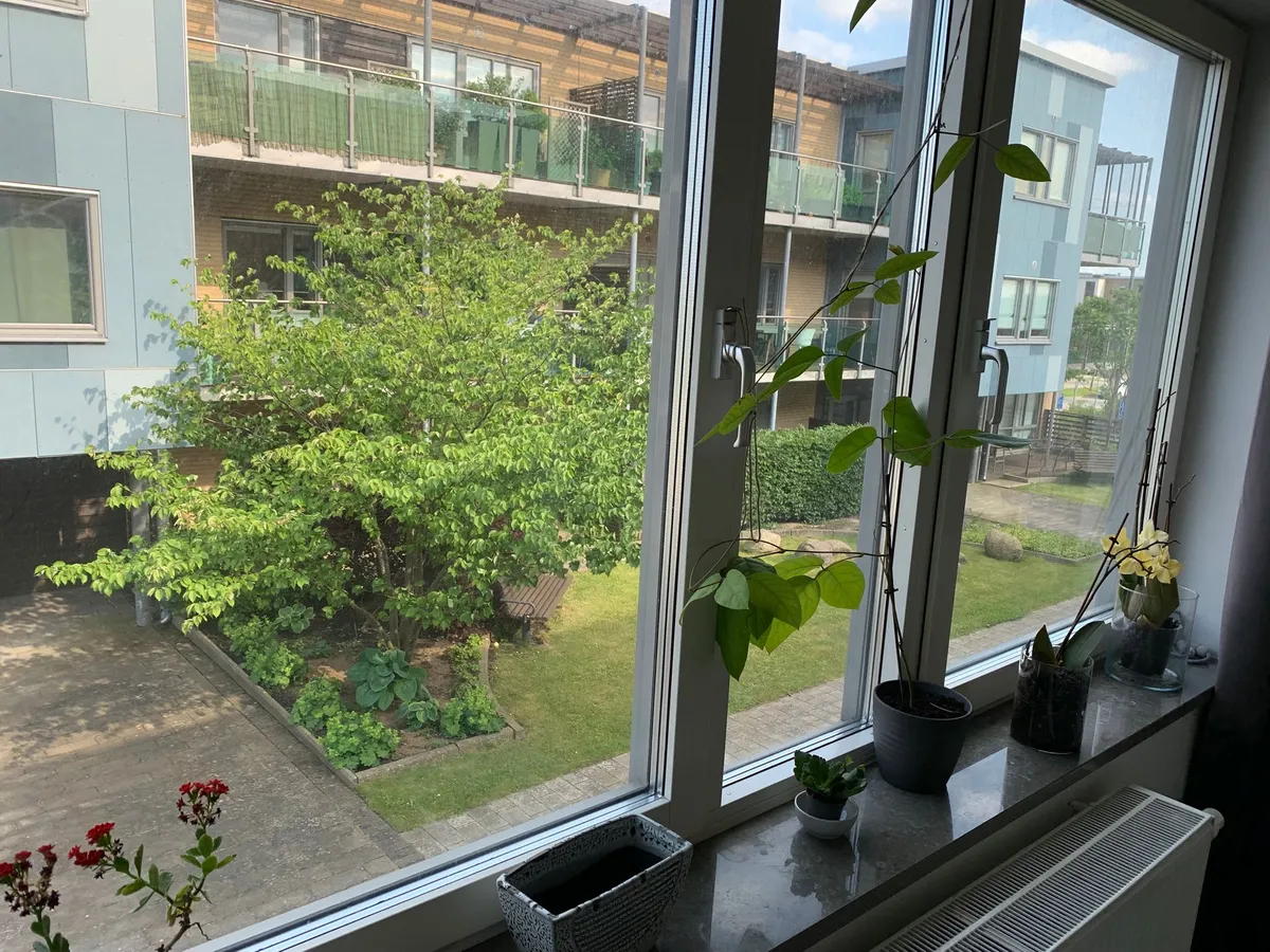 Hyreslägenhet på Bunkeflostrand i bunkeflostrand