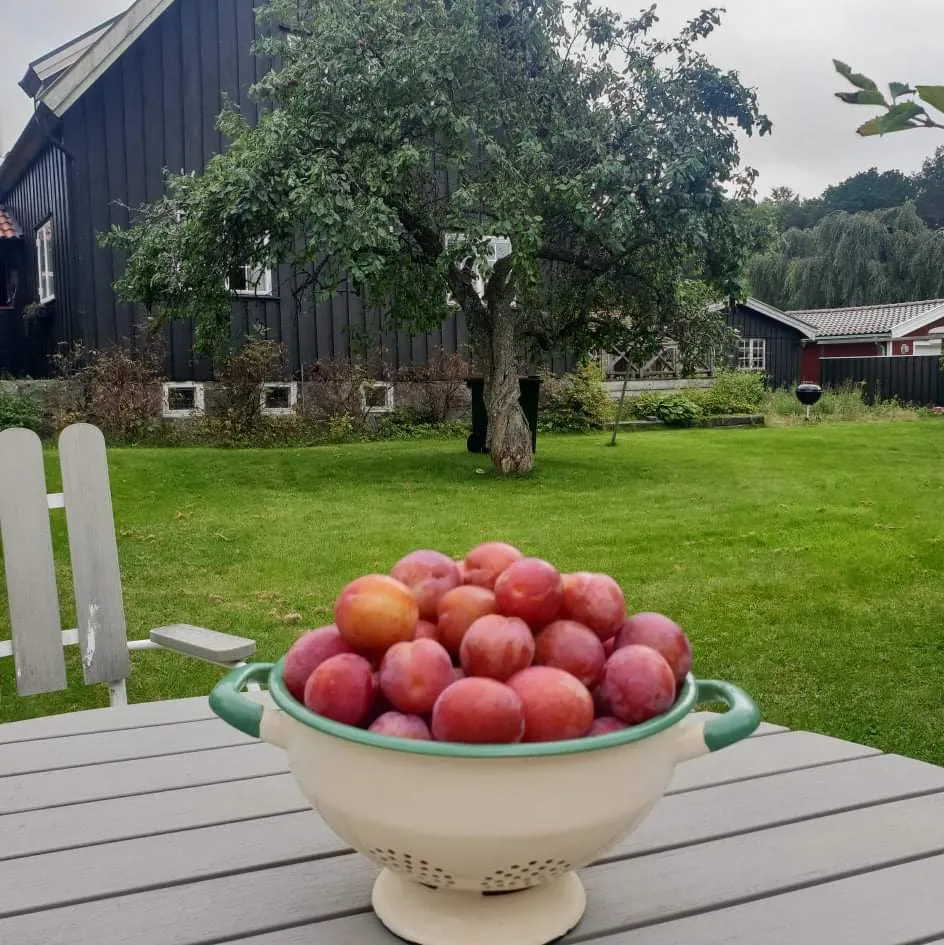 Hyresbostad på Partille i partille