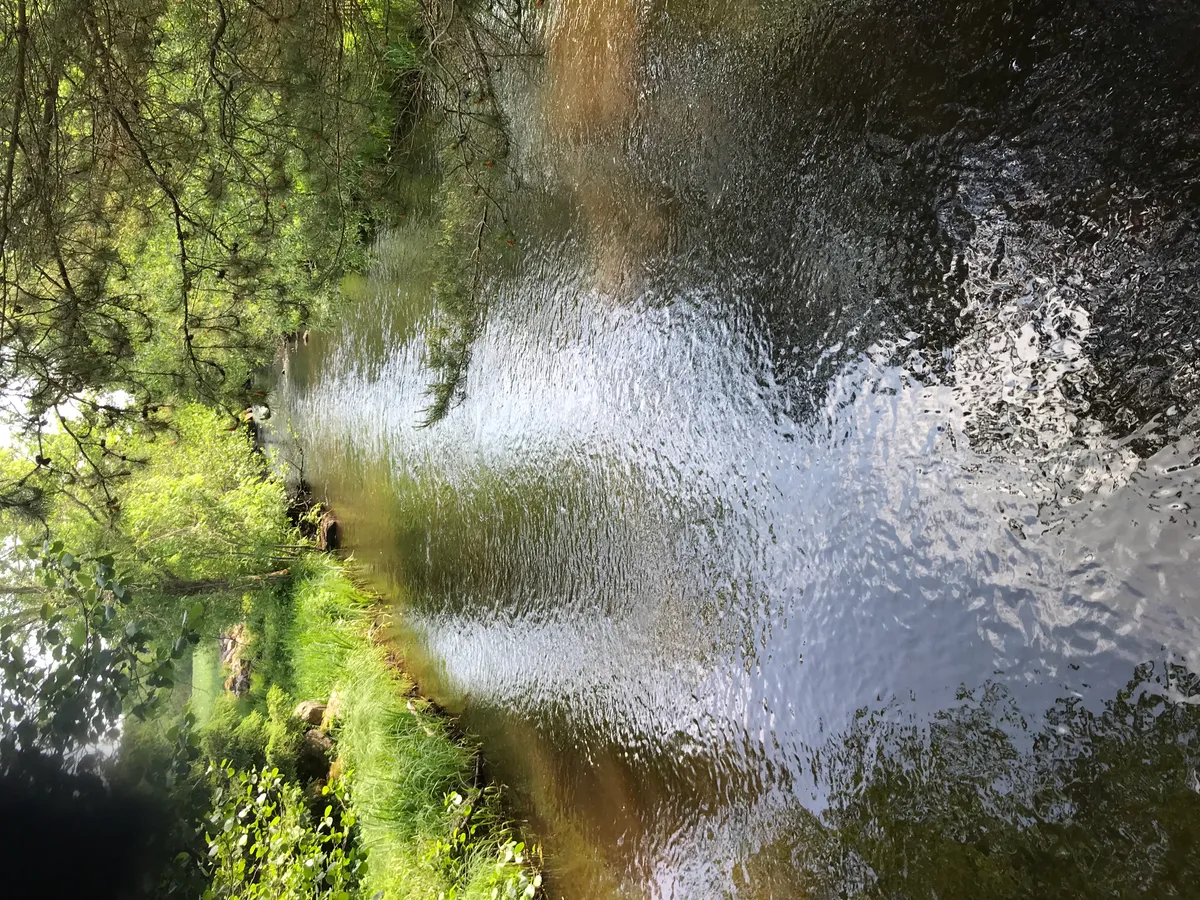 Hyresbostad på Herrljunga i herrljunga