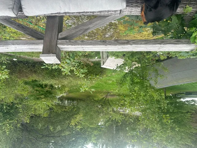 Hyresbostad på Saltsjö-boo i saltsjo-boo