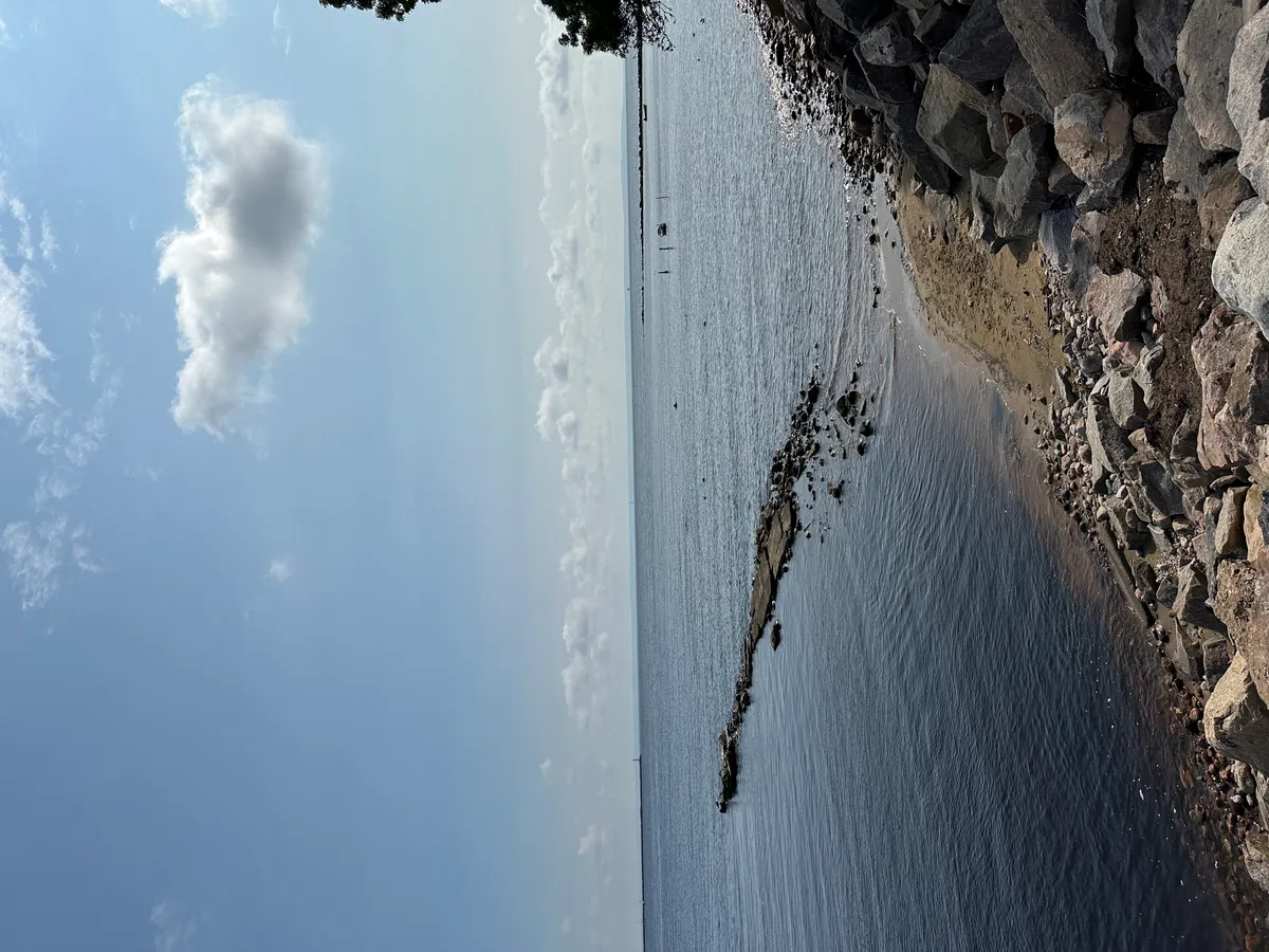 Hyreslägenhet på Halmstad i halmstad