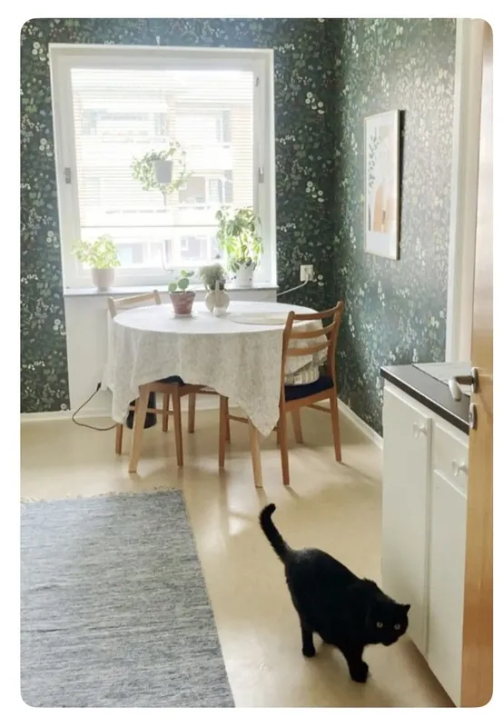 Hyreslägenhet på Göteborg i goteborg
