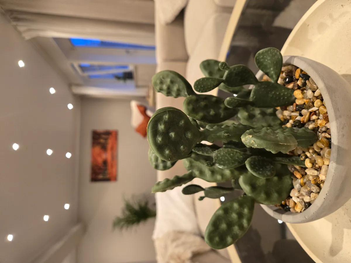 Hyreslägenhet på Örebro i orebro