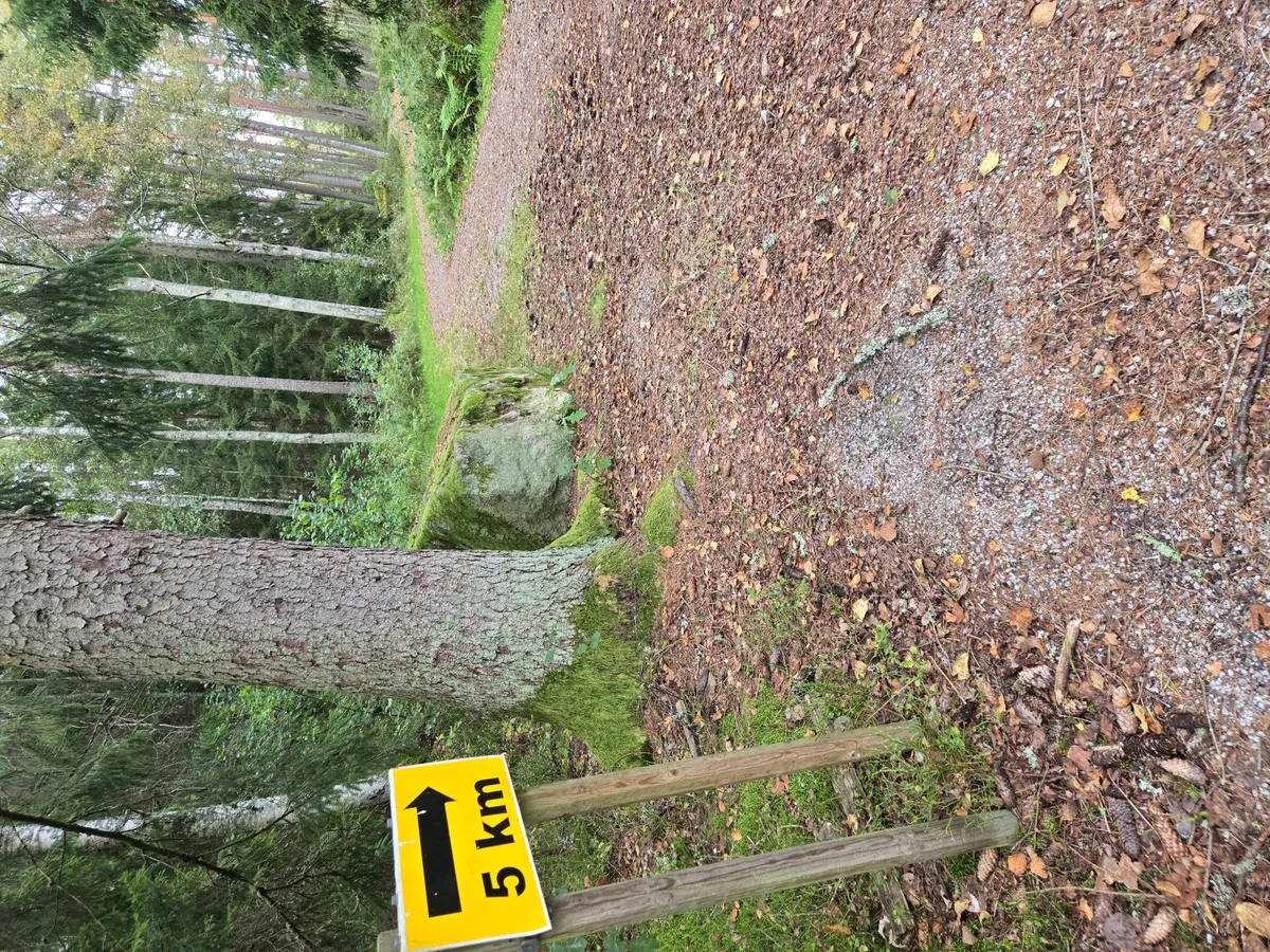 Hyreslägenhet på Örebro i orebro