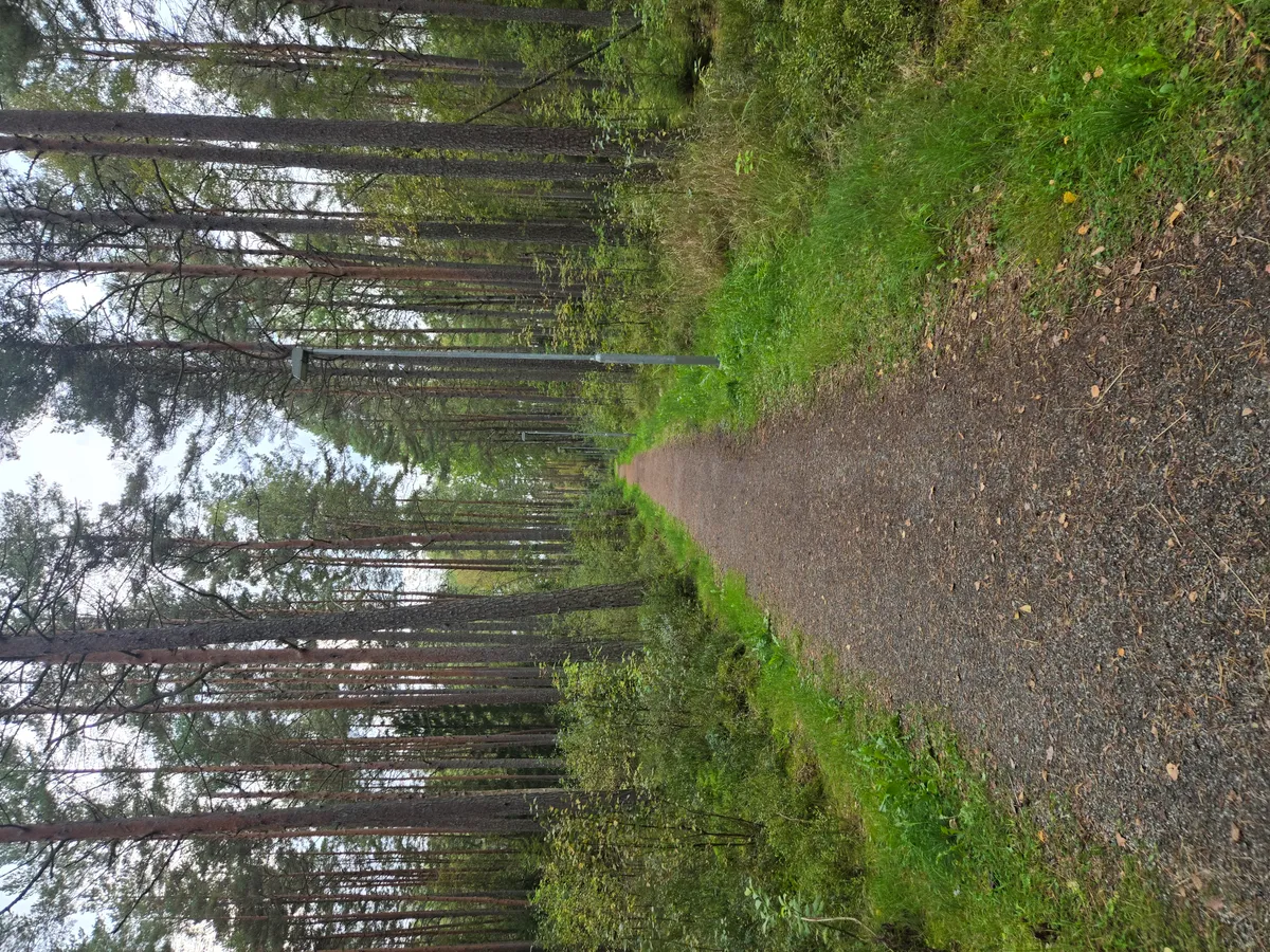 Hyreslägenhet på Örebro i orebro