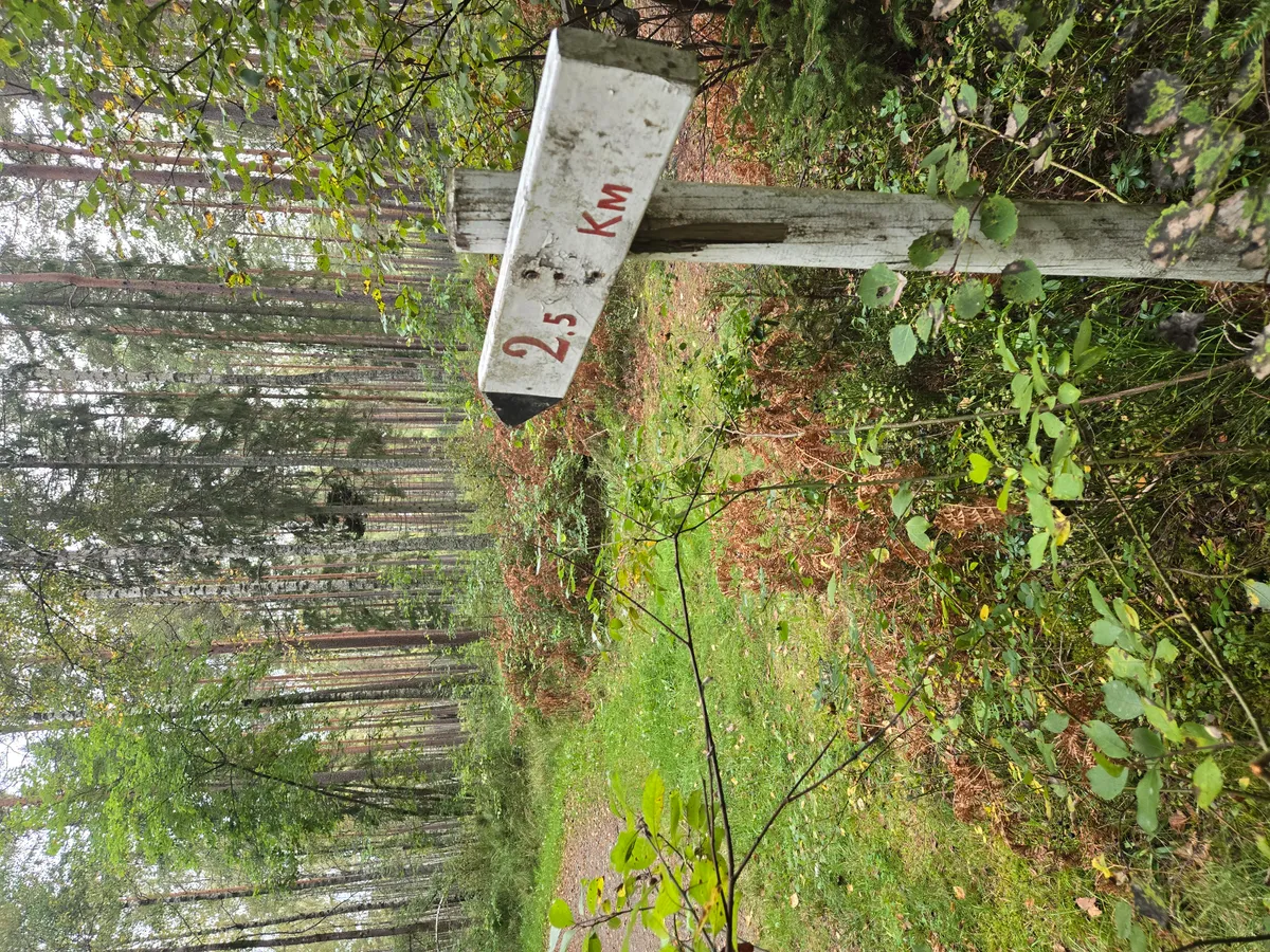 Hyreslägenhet på Örebro i orebro