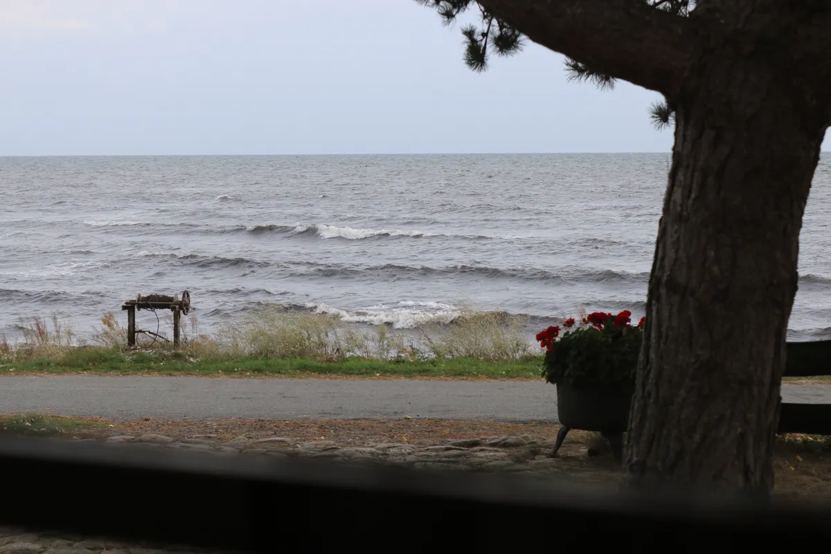Hyresbostad på Beddingestrand i beddingestrand