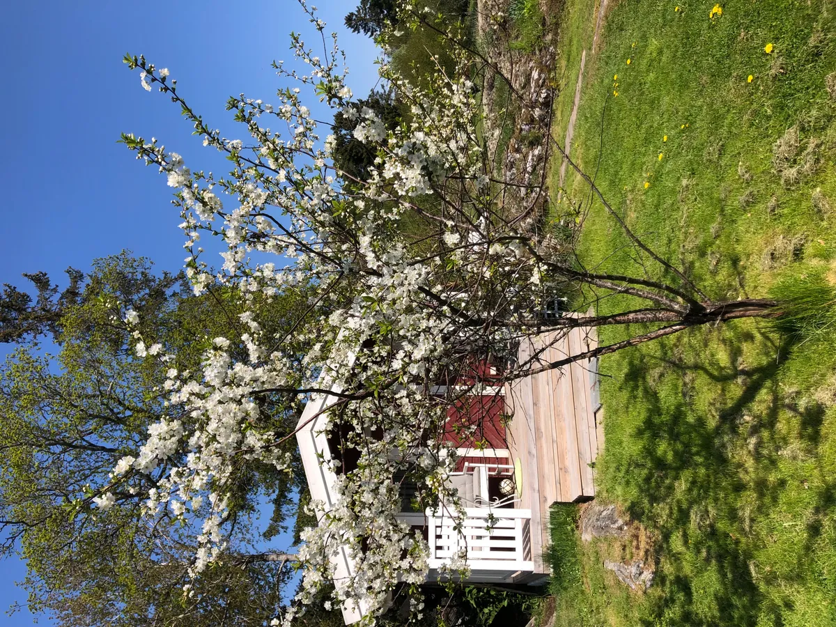 Hyresbostad på Värmdö i varmdo