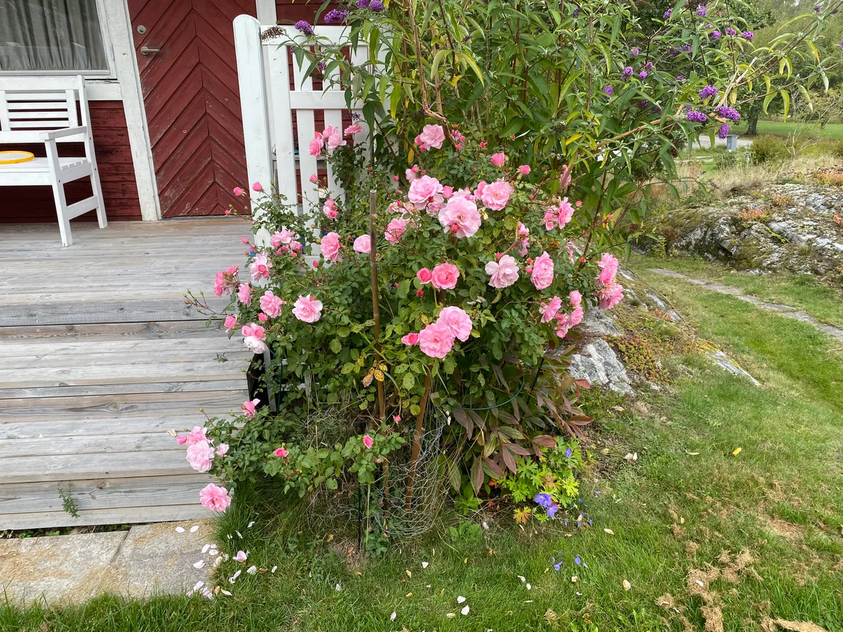 Hyresbostad på Värmdö i varmdo