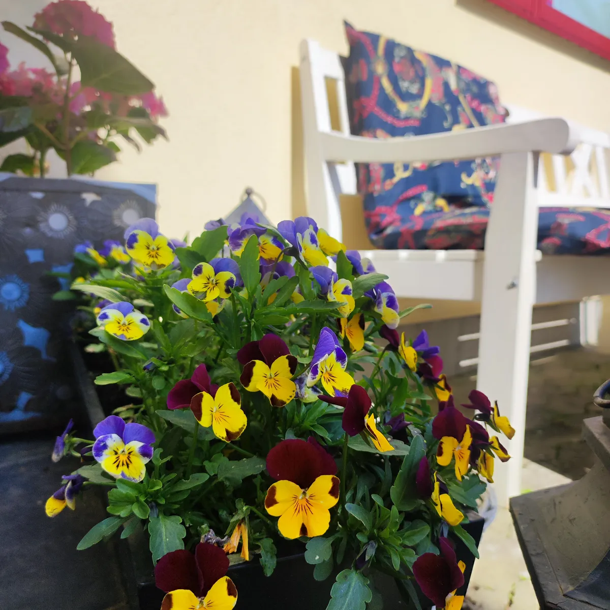 Hyresbostad på Malmö i malmo