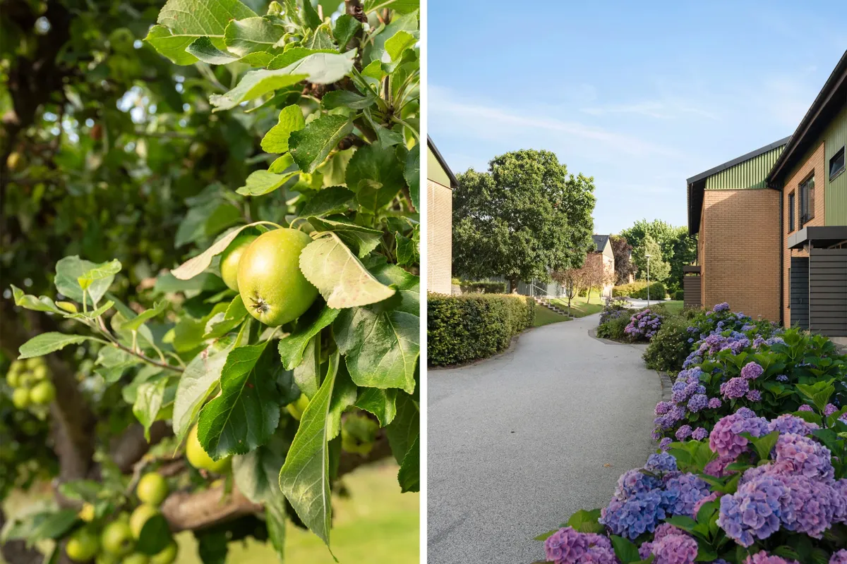 Hyreslägenhet på Lund i lund