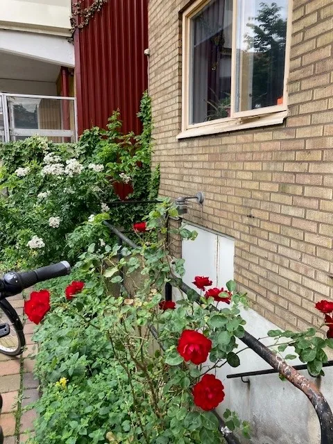 Hyreslägenhet på Helsingborg i helsingborg