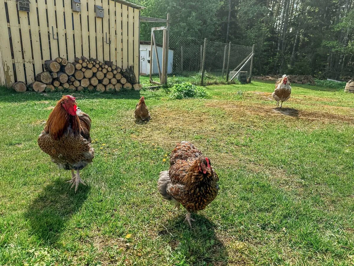 Hyresbostad på Rimbo i rimbo