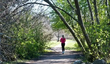 Hyreslägenhet på Bromma i bromma