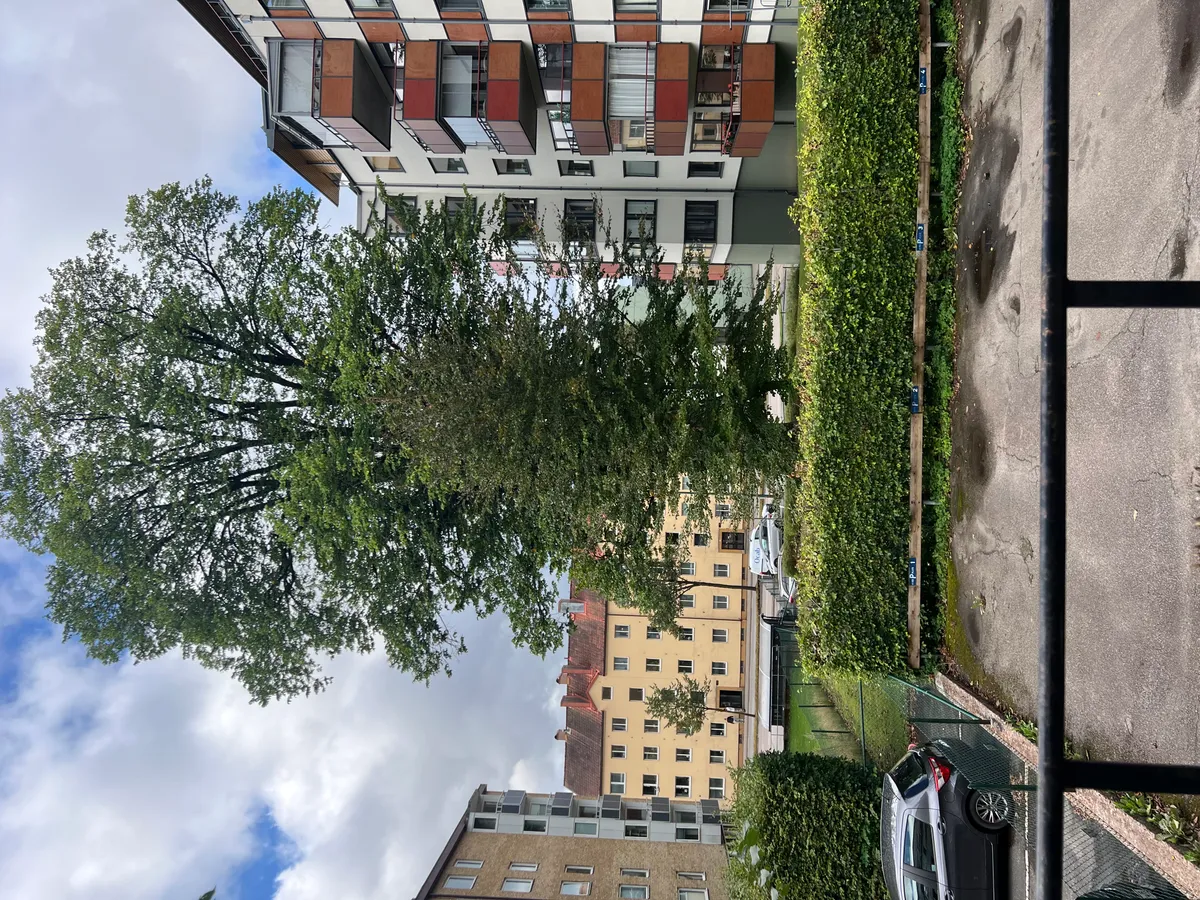 Hyreslägenhet på Borås i boras