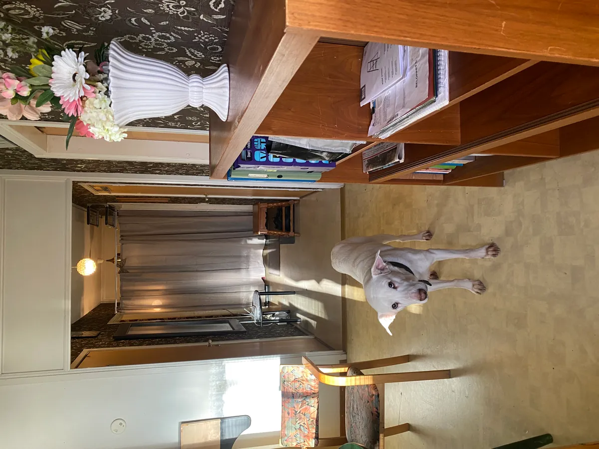 Hyreslägenhet på Sundbyberg i sundbyberg