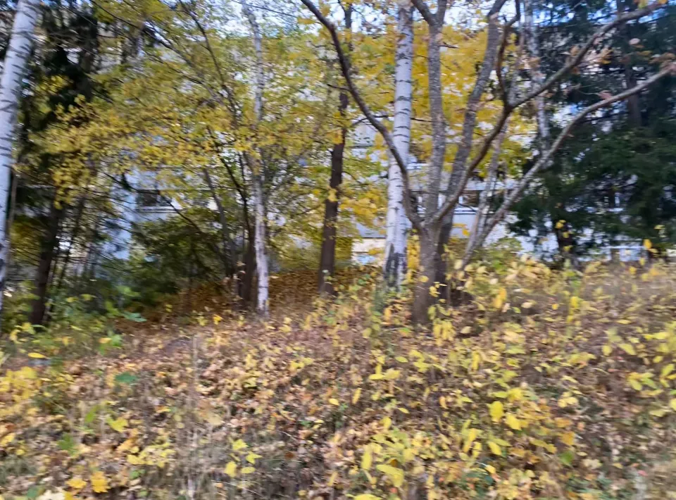 Hyreslägenhet på Sundbyberg i sundbyberg