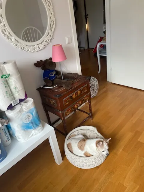 Hyreslägenhet på Upplands Väsby i upplands-vasby