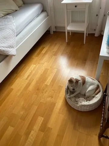 Hyreslägenhet på Upplands Väsby i upplands-vasby