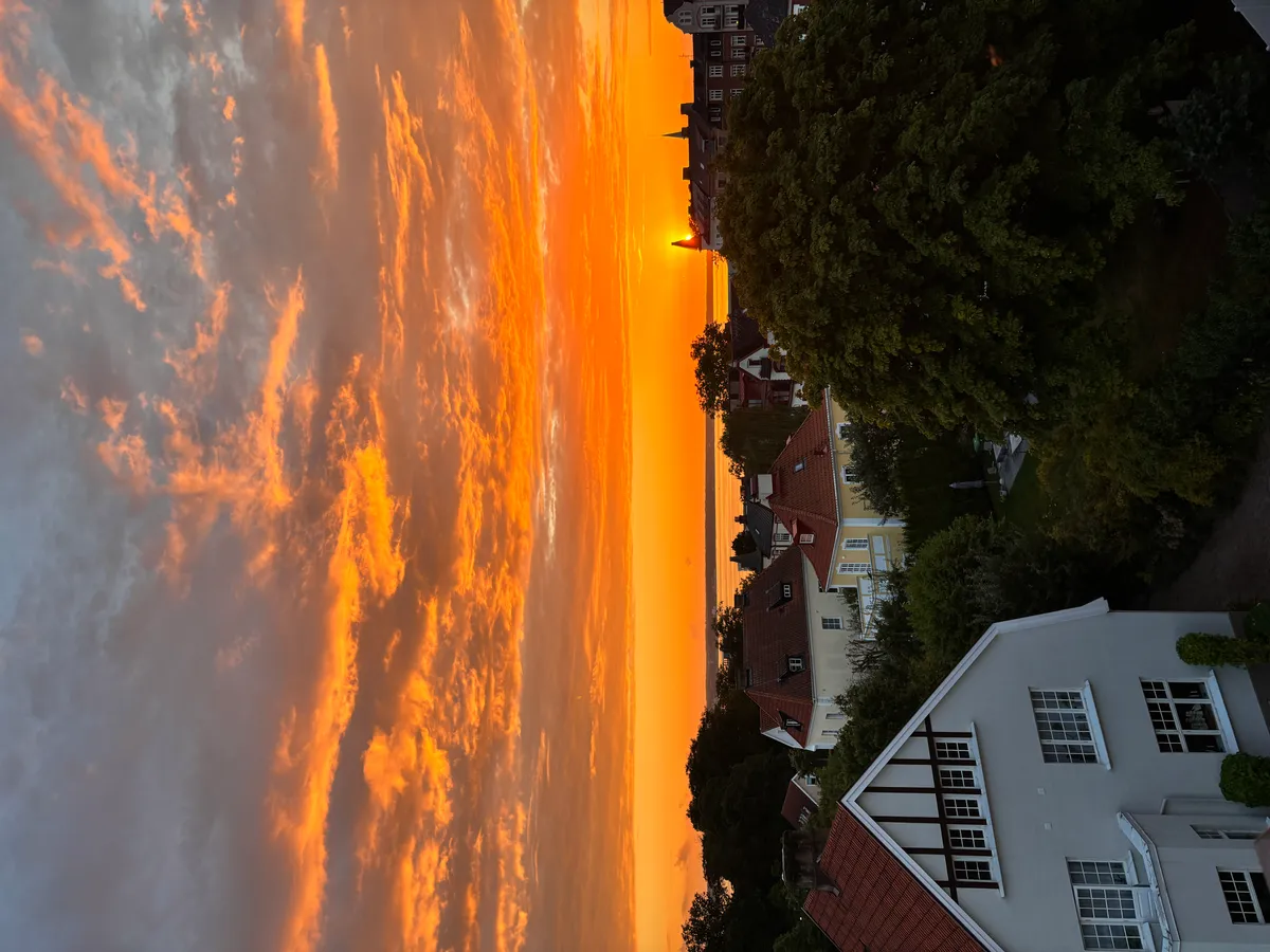 Hyreslägenhet på Helsingborg i helsingborg