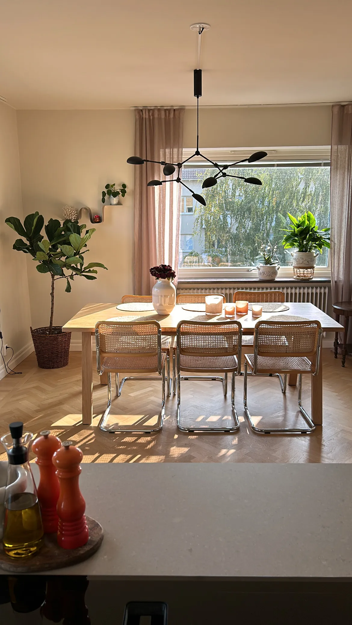 Hyreslägenhet på Malmö i malmo