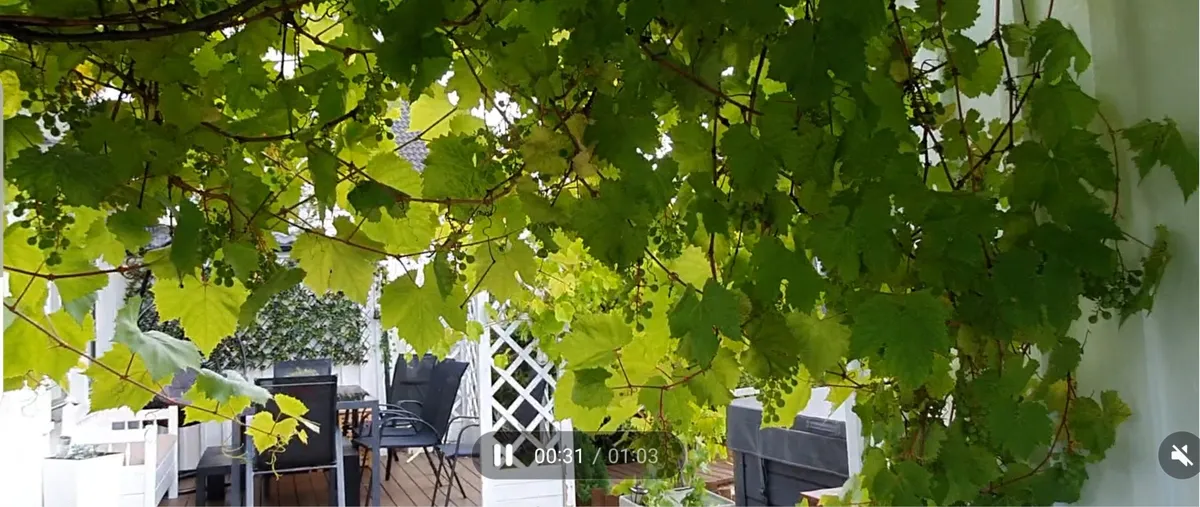 Hyresbostad på Vänersborg i vanersborg