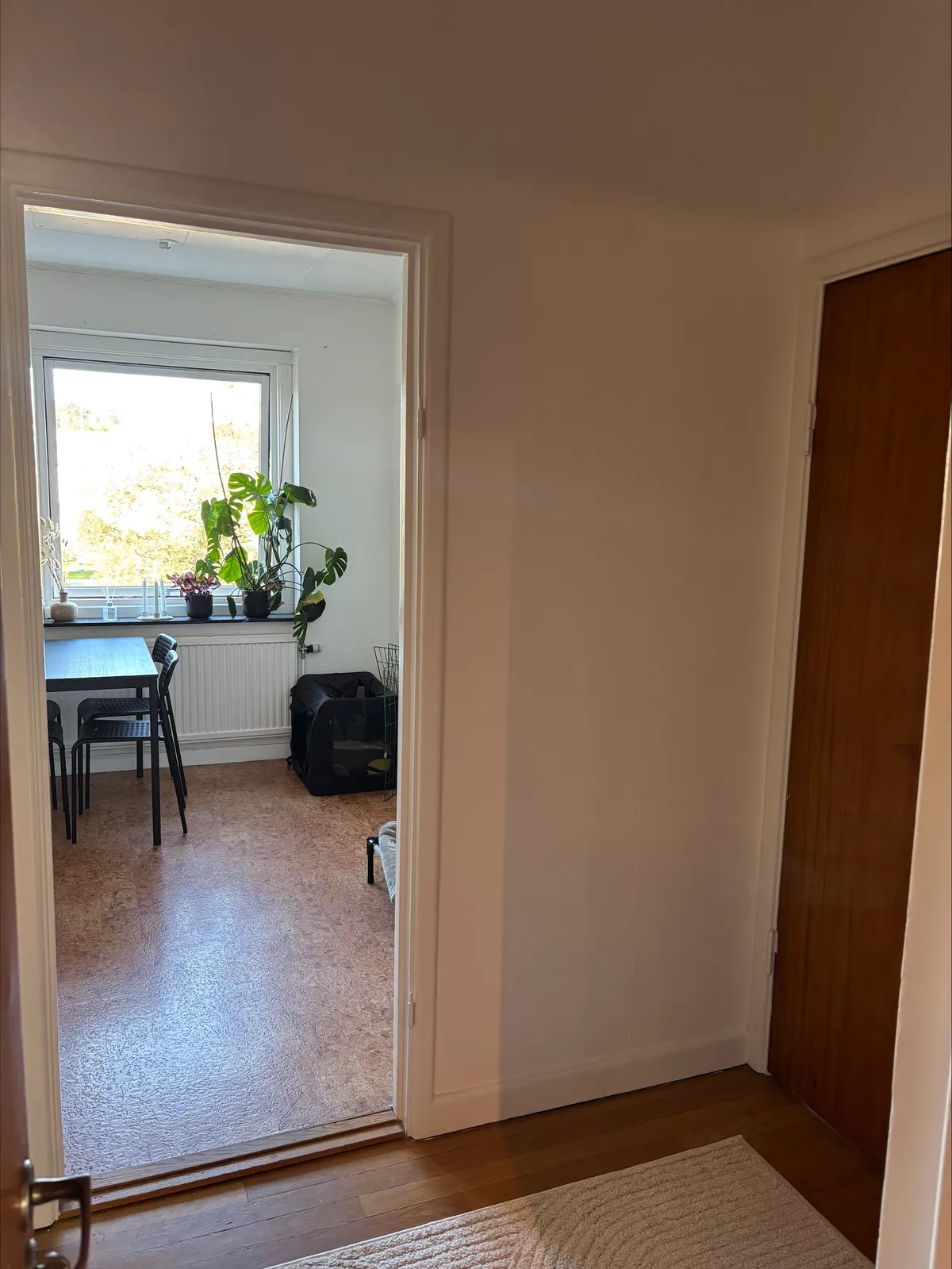 Hyreslägenhet på Uddevalla i uddevalla