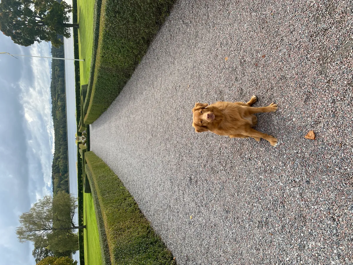 Hyreslägenhet på Märsta i marsta