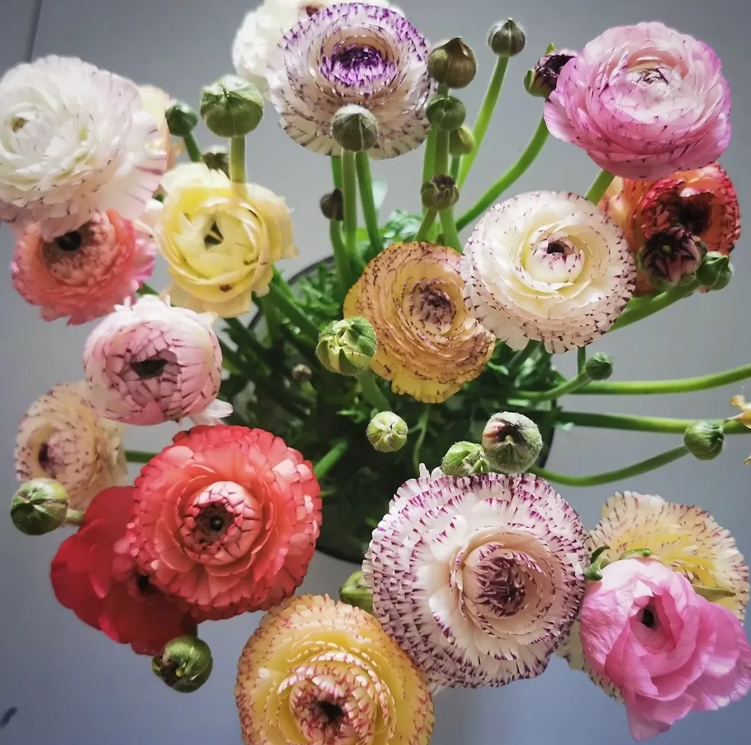 Hyreslägenhet på Norrtälje i norrtalje