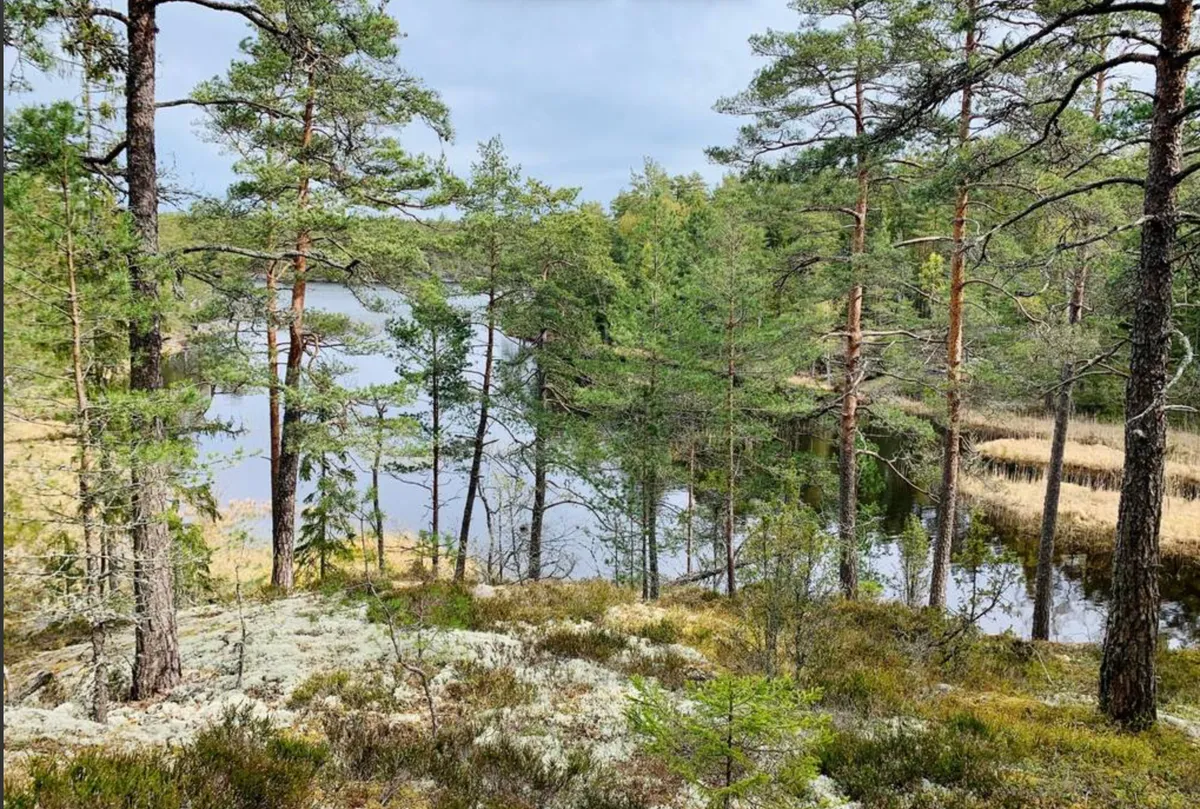 Hyresbostad på Ingarö i ingaro