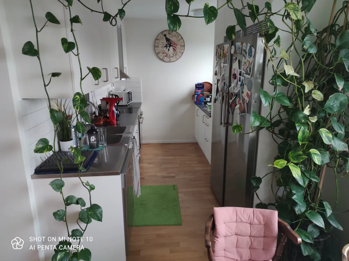 Hyreslägenhet på Malmö i malmo