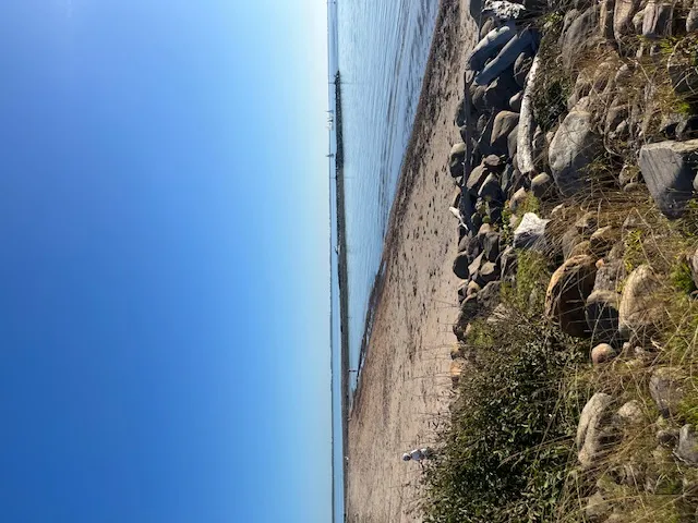 Hyresbostad på Ängelholm i angelholm