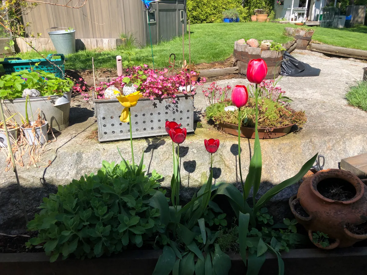 Hyresbostad på Enskede i enskede