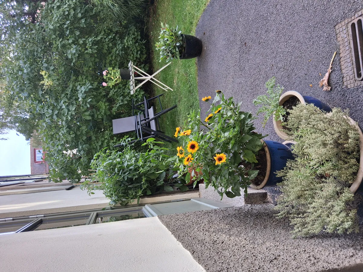 Hyreslägenhet på Göteborg i goteborg