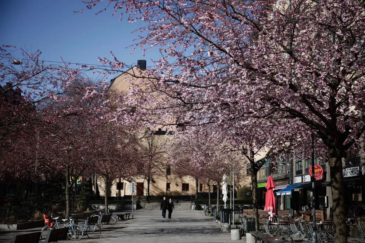 Hyreslägenhet på Stockholm i stockholm