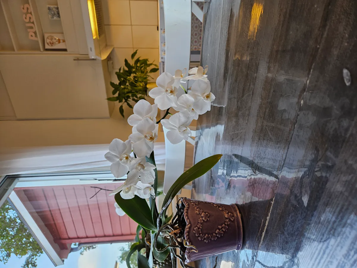 Hyreslägenhet på Norsborg i norsborg