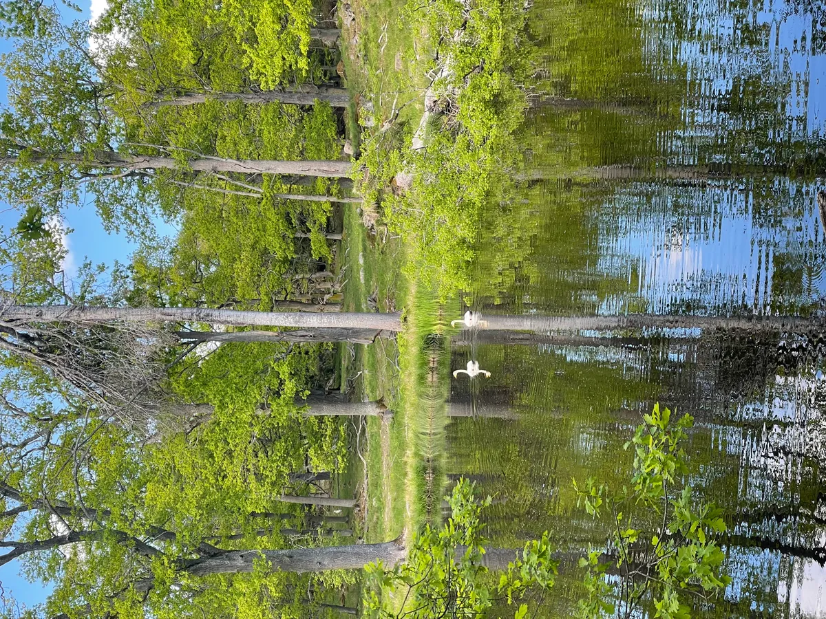 Hyresbostad på Stora Sundby i stora-sundby