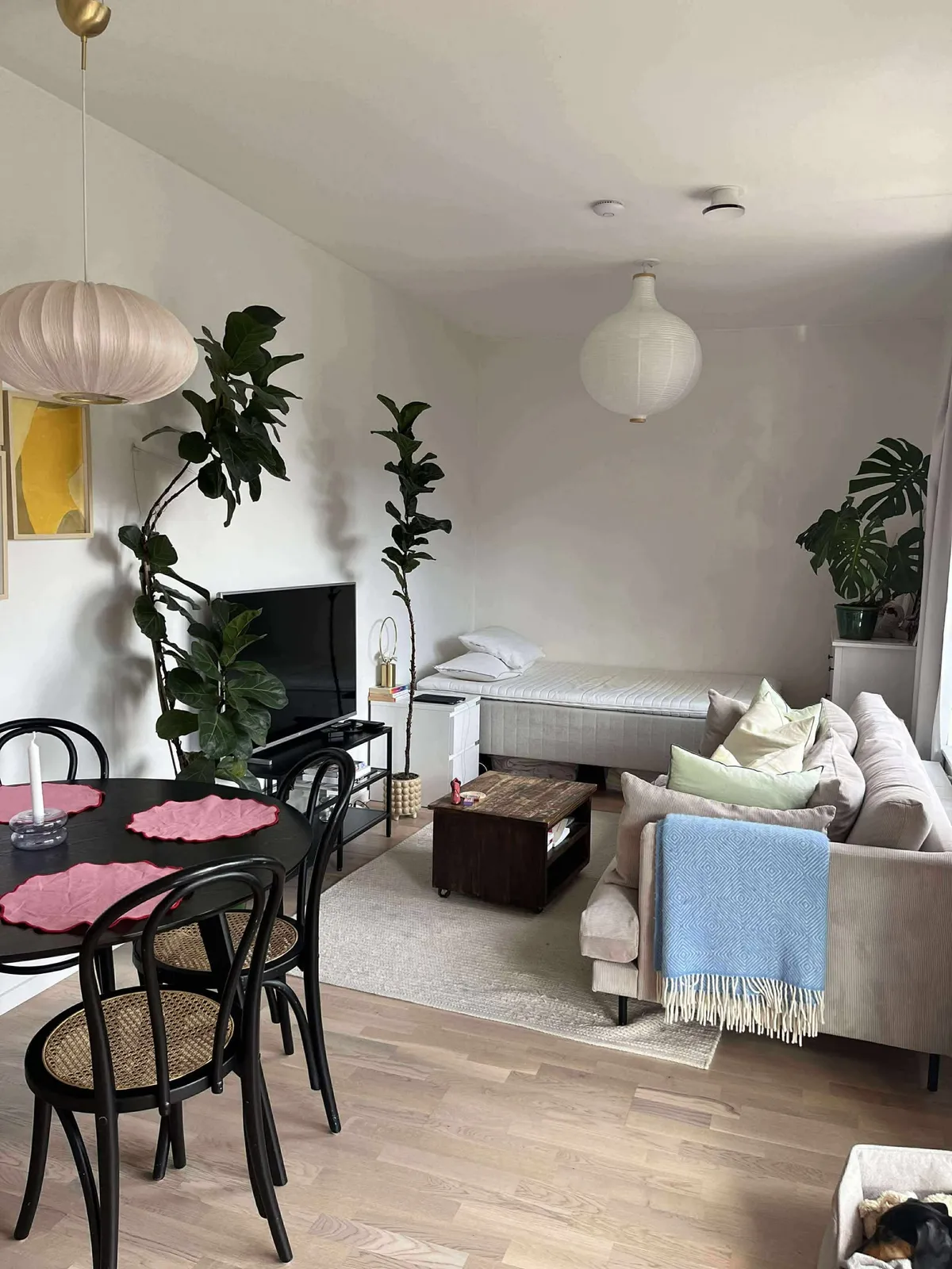 Hyreslägenhet på Malmö i malmo