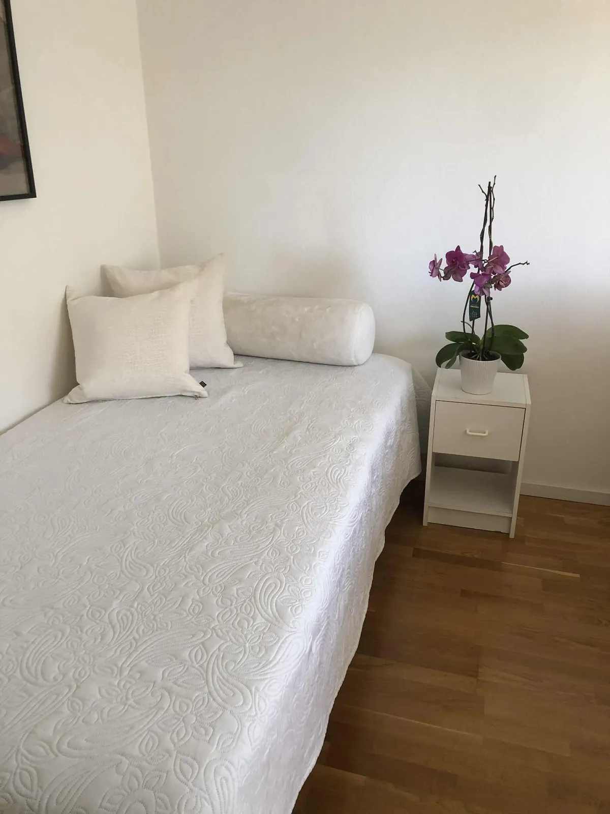 Hyreslägenhet på Malmö i malmo