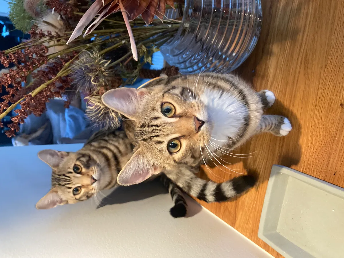 Hyresbostad på Tyresö i tyreso