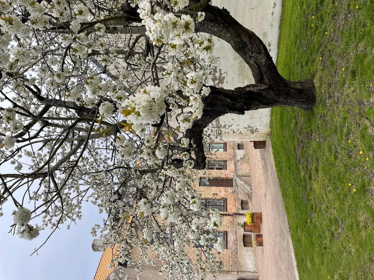 Hyreslägenhet på Helsingborg i helsingborg