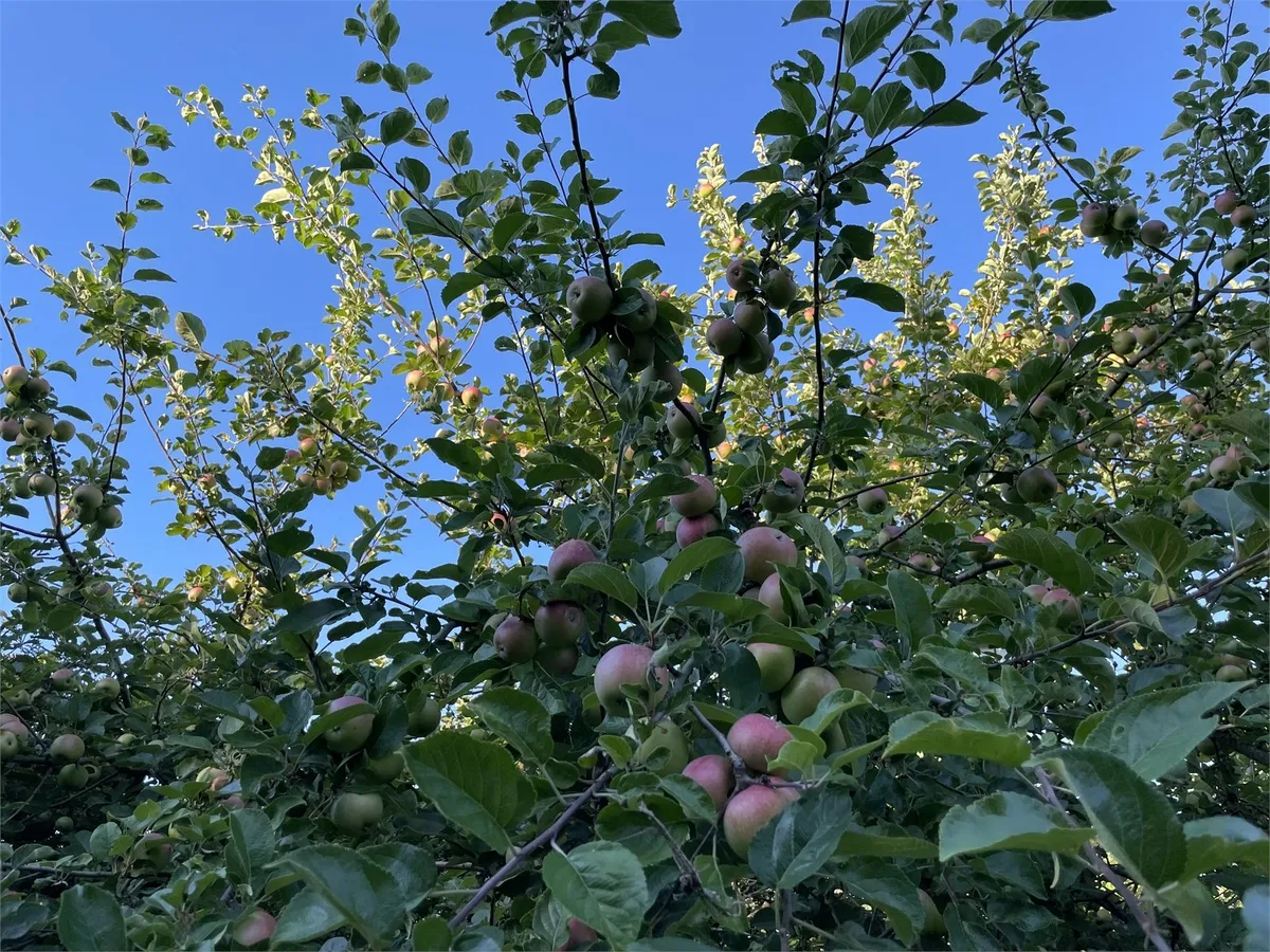 Hyresbostad på Huddinge i huddinge