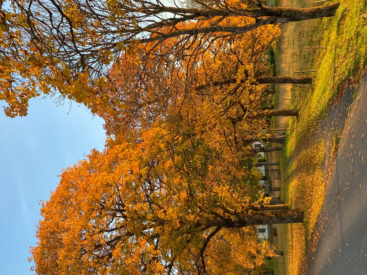 Hyresbostad på Vaggeryd i vaggeryd